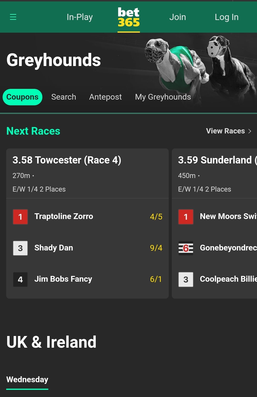 bet365 Greyhound