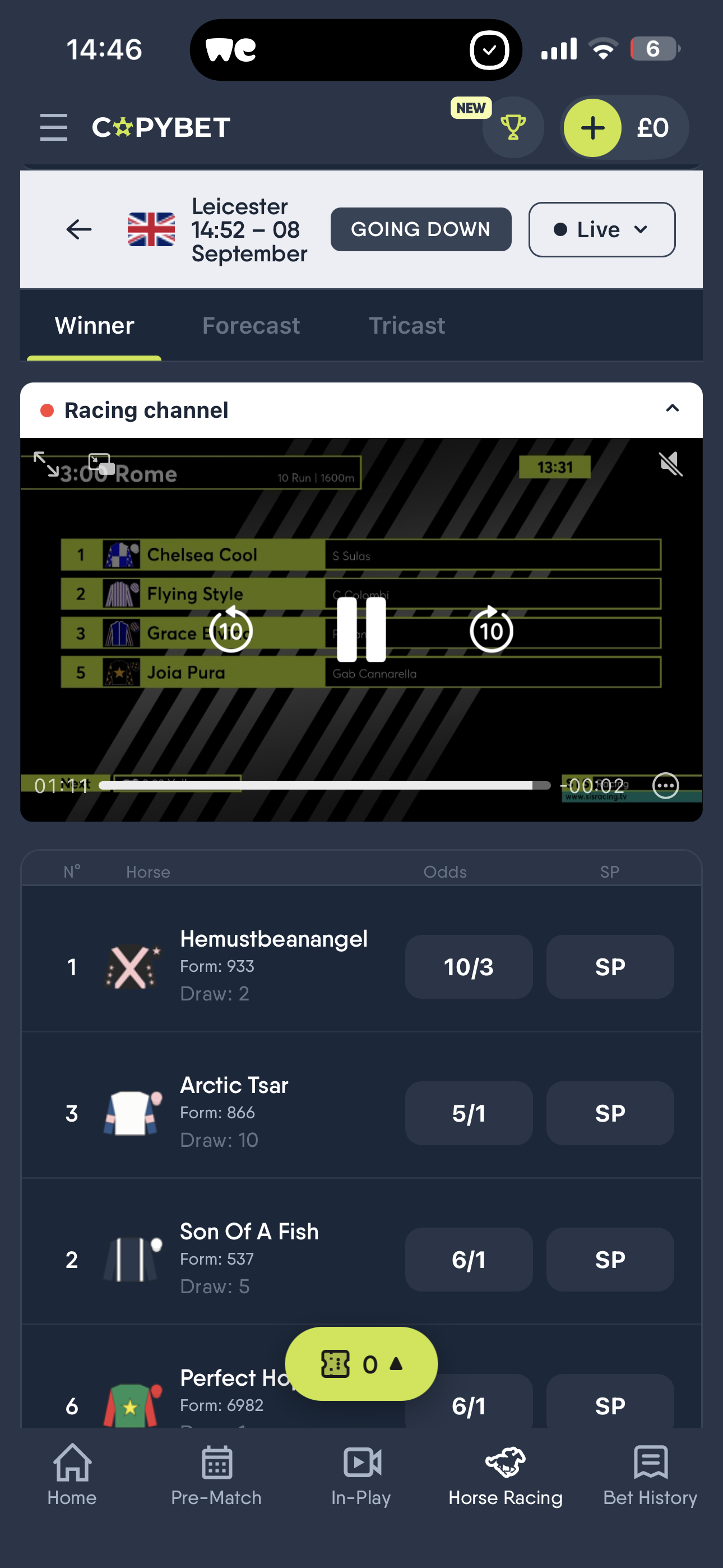 CopyBet Horse Racing Streaming