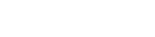 FlaxSport logo