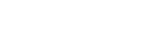 Pub Sports logo