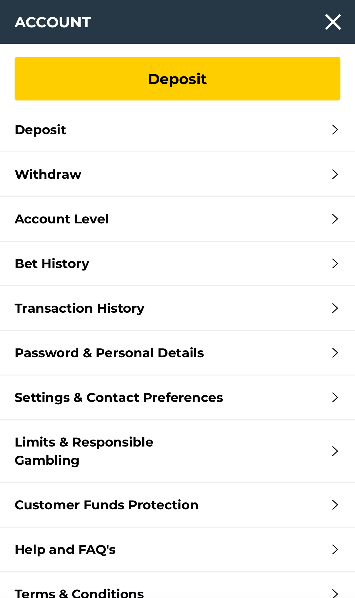 BetWright Account Overview