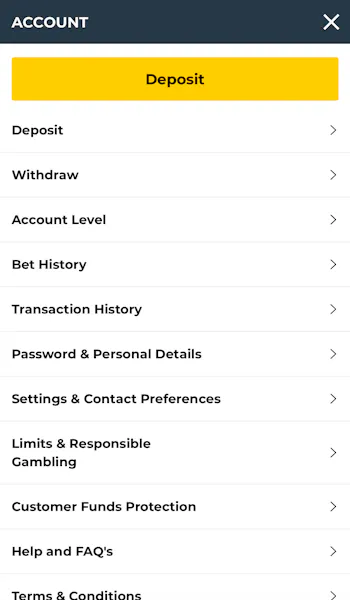 BetWright Account Overview