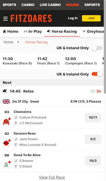 Fitzdares horse racing