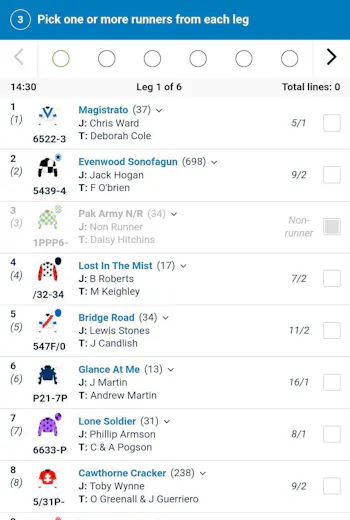 William Hill placepot 3