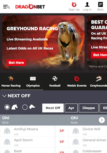 Dragonbet sportsbook