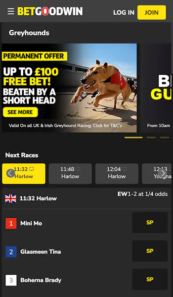 BetGoodwin greyhound racing