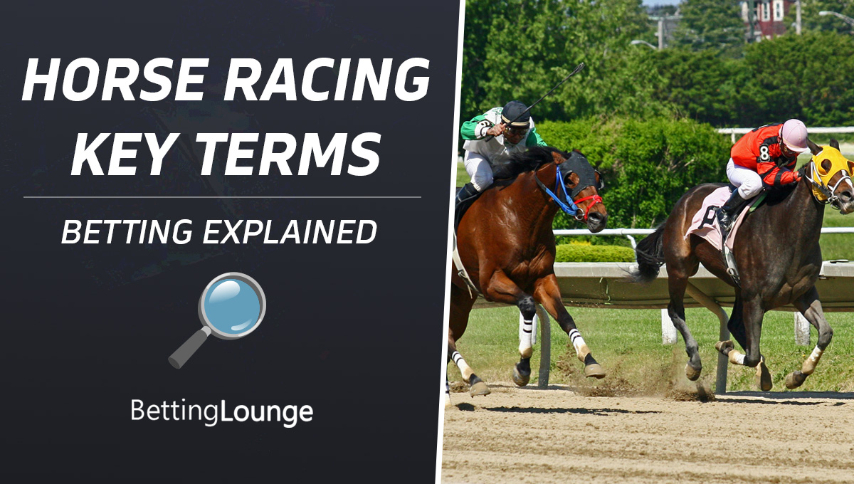 Horse racing key terms