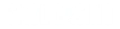 Skol Casino logo