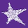 Hollywoodbets new icon