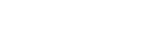 Skill On Net logo
