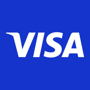 Visa icon