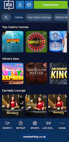 Meta Betting Casino.png