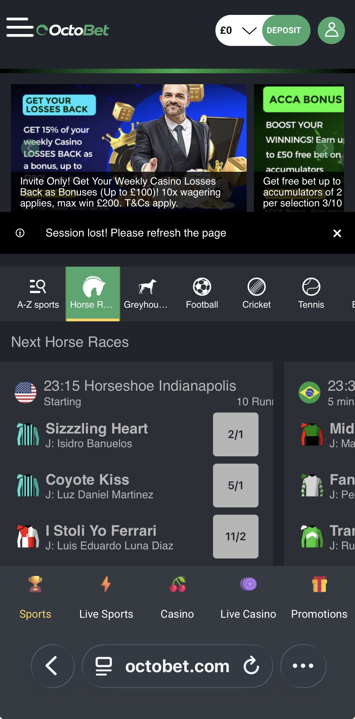 Octobet Horse Racing