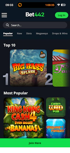 Bet442 Casino