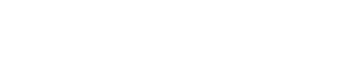 PlayWins logo