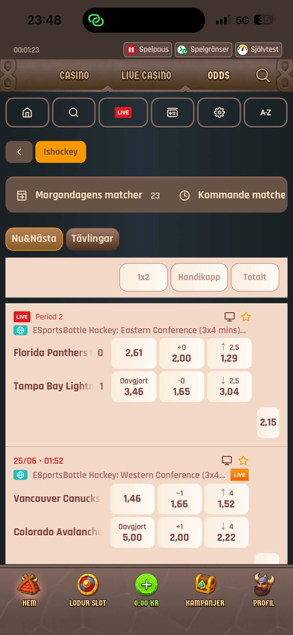 Hockeyutbud - Lodur