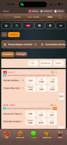 Hockeyutbud - Lodur