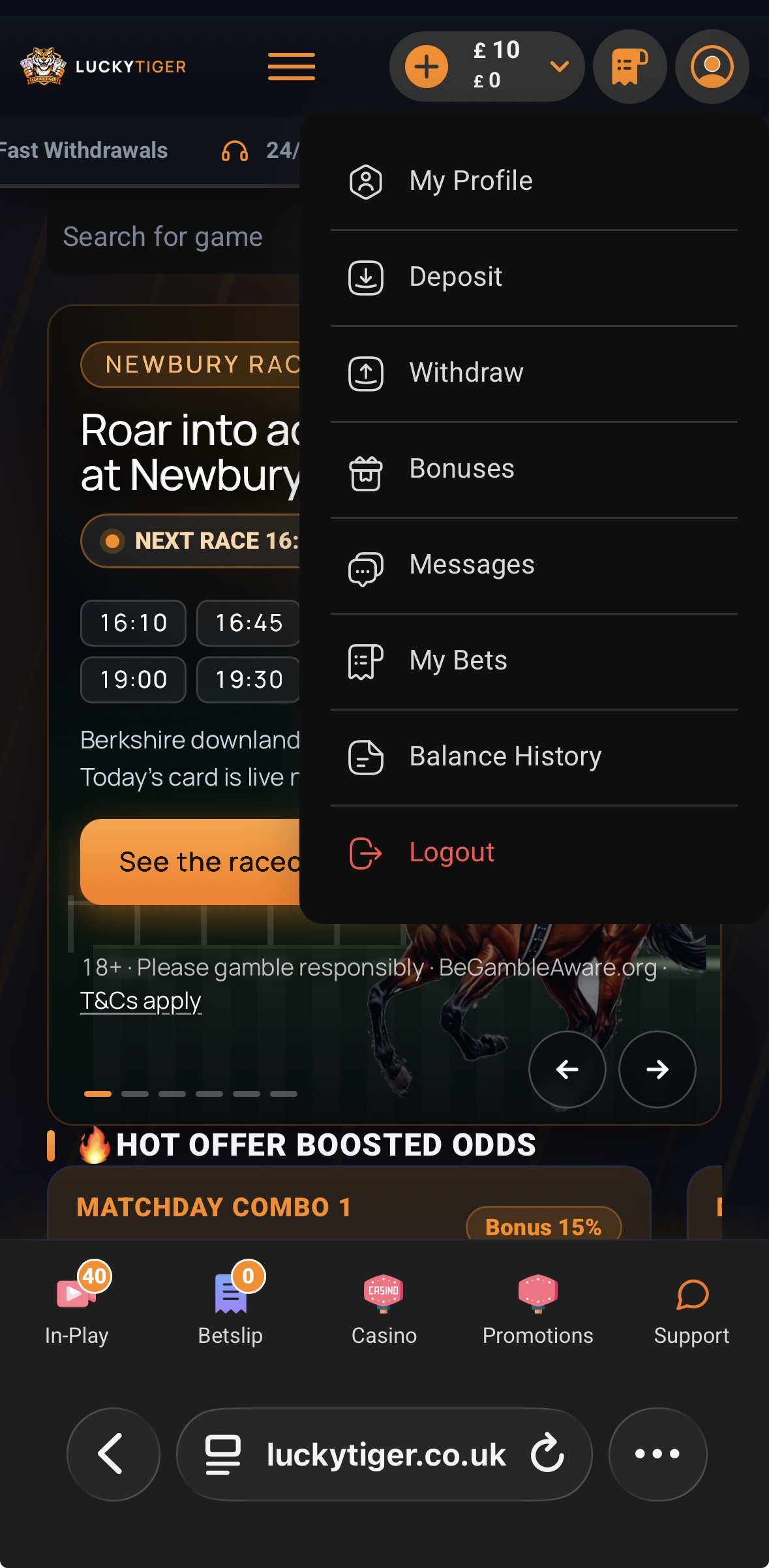 Lucky Tiger Withdraw 2
