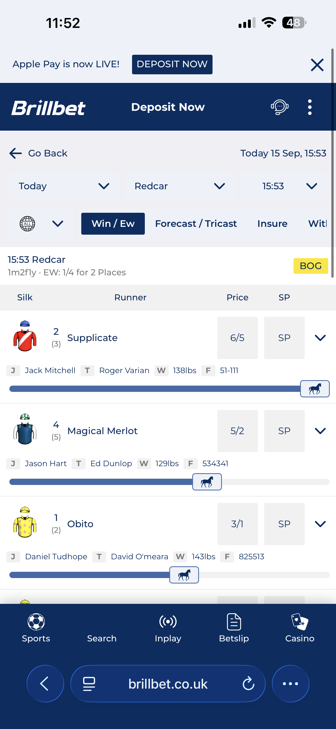Brillbet Horses