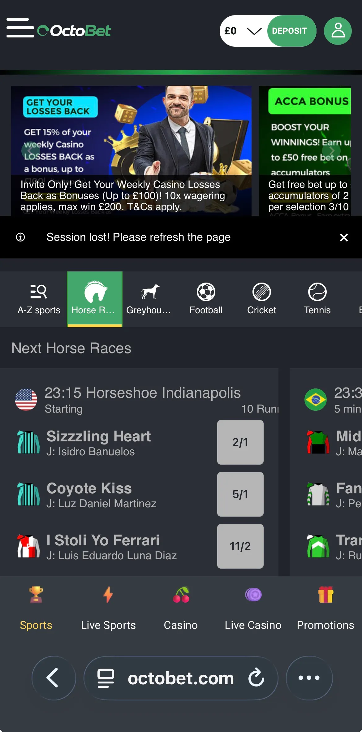 Octobet Horse Racing