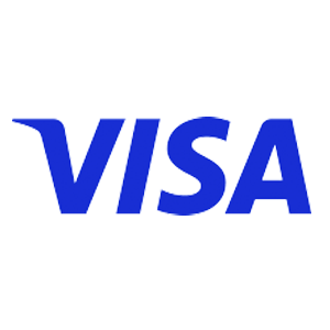 Visa icon
