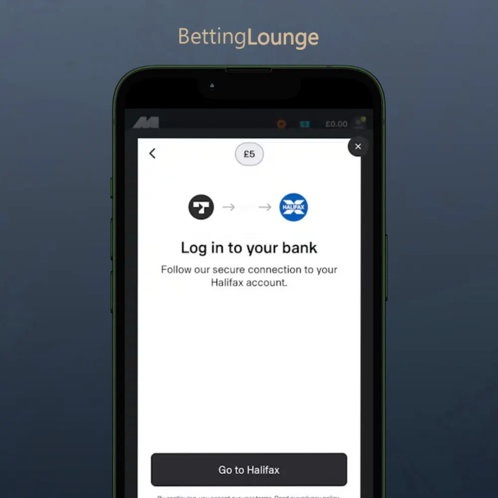 step 3, part 2: log in to your bank account and verify