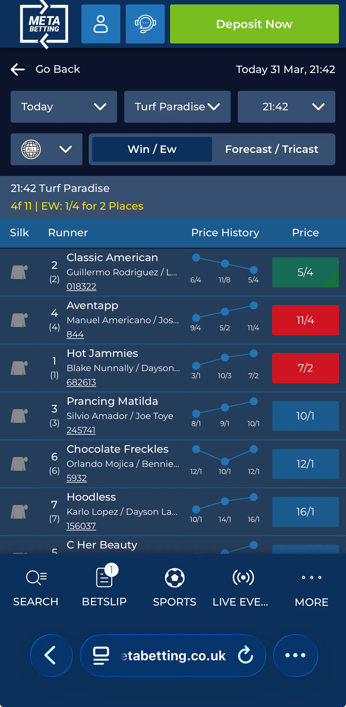 Meta Betting Horse Racing