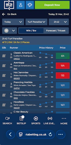 Meta Betting Horse Racing